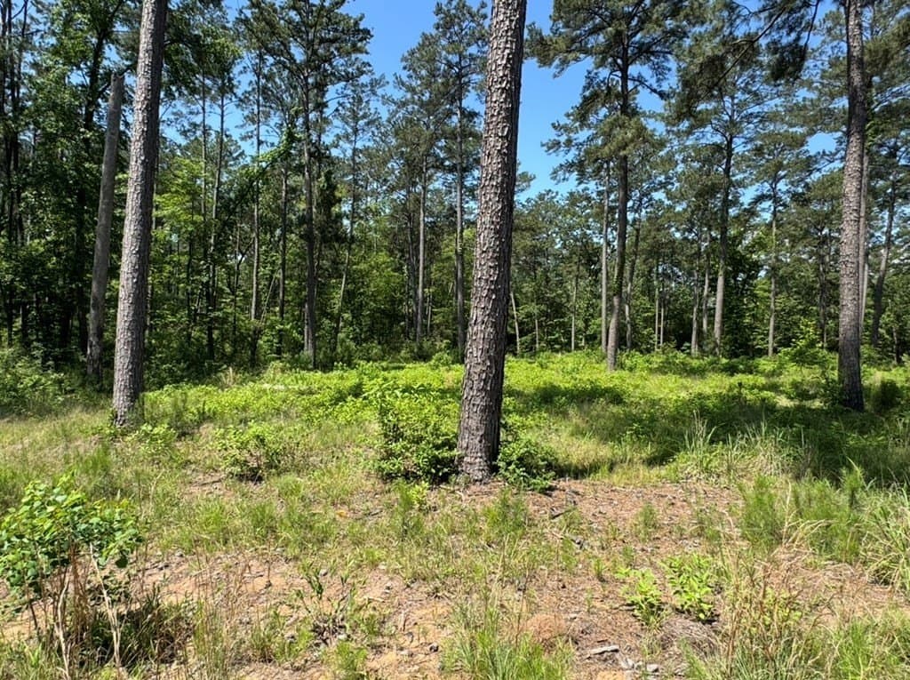 1 acres in Texas County - photo 7