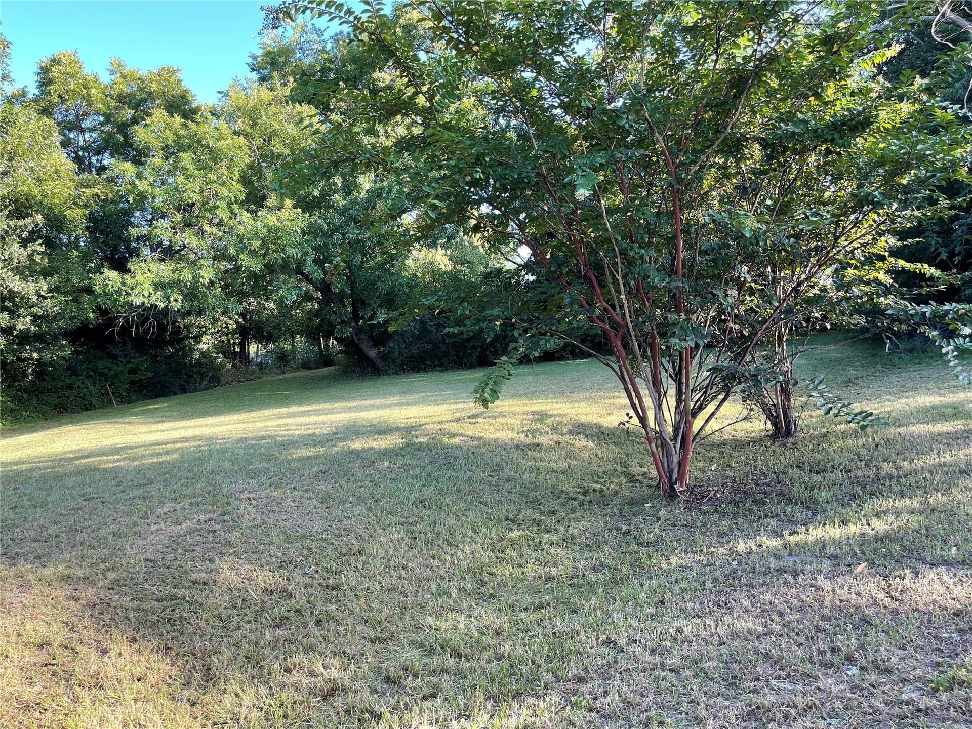 0.1 acres in Hunt County - photo 6