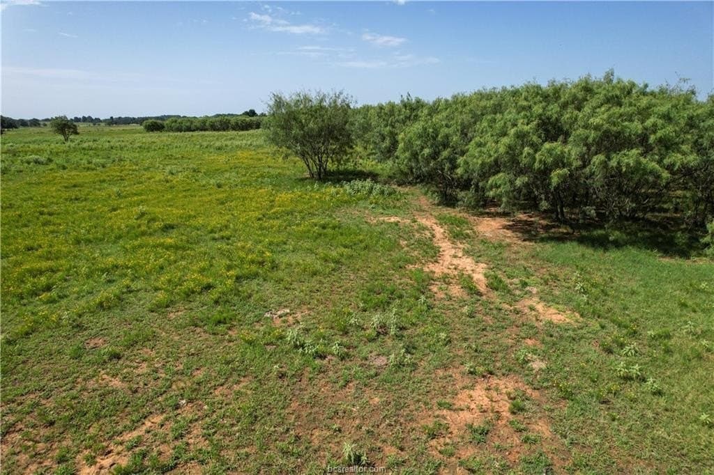 22 acres in Robertson County featured view