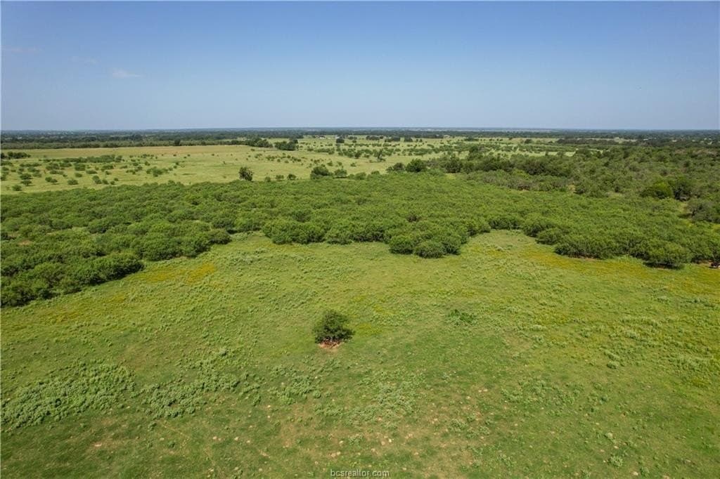 22 acres in Robertson County gallery image 2