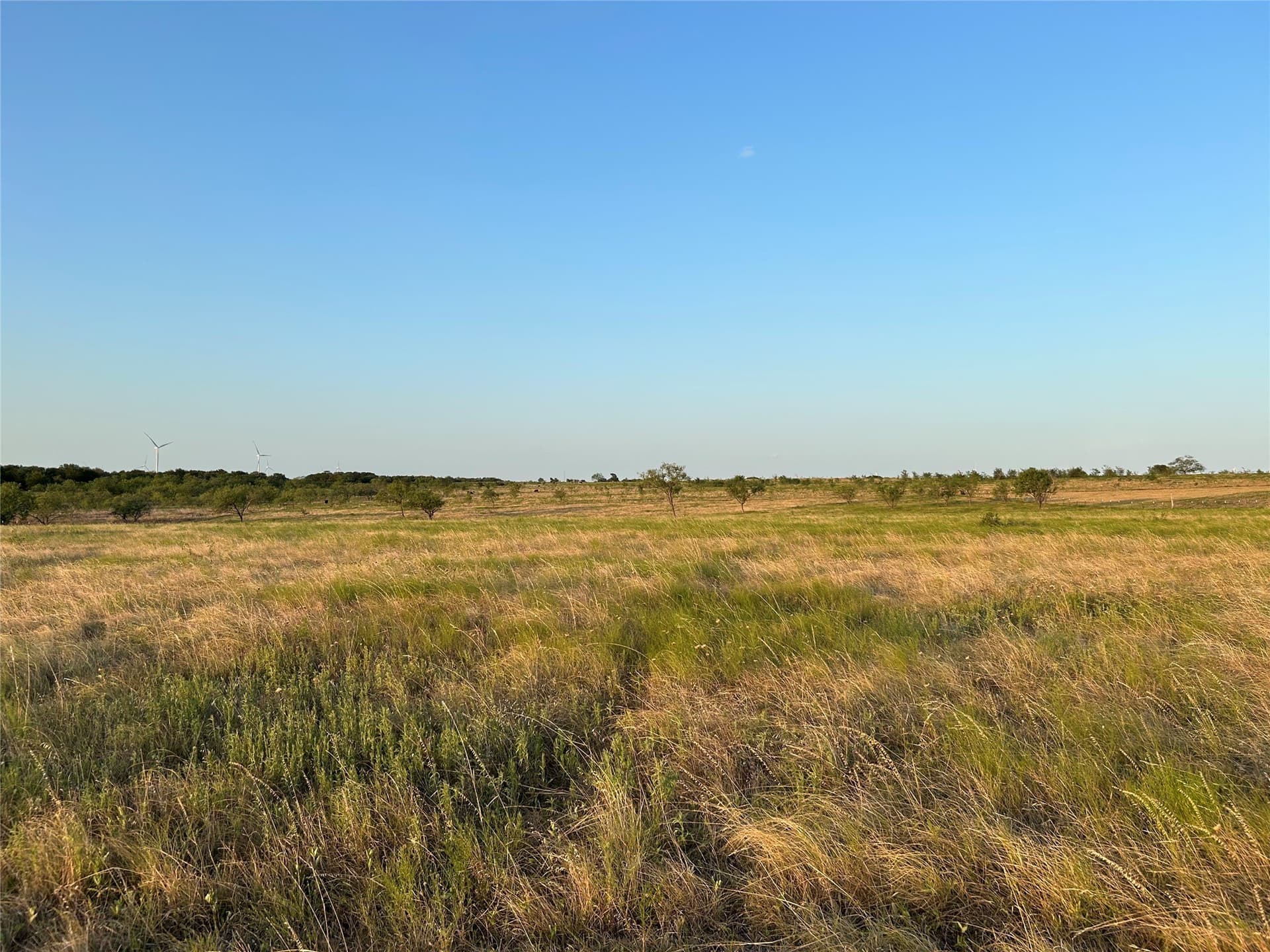 10 acres in McLennan County - photo 4