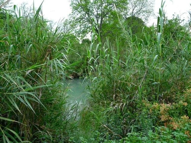 82 acres in Val Verde County featured view