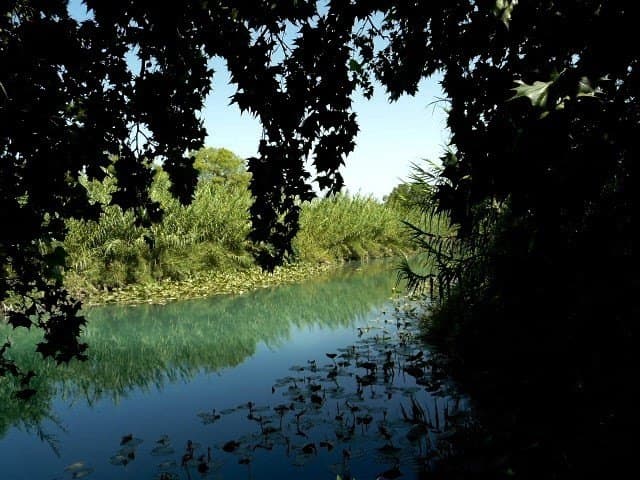 82 acres in Val Verde County gallery image 2