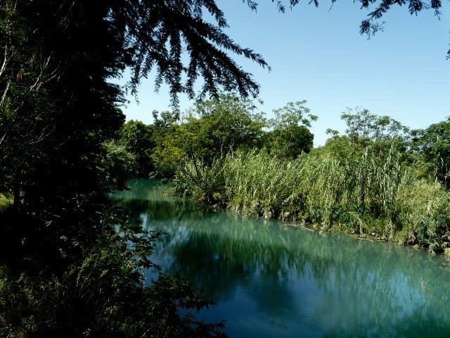 82 acres in Val Verde County gallery image 4