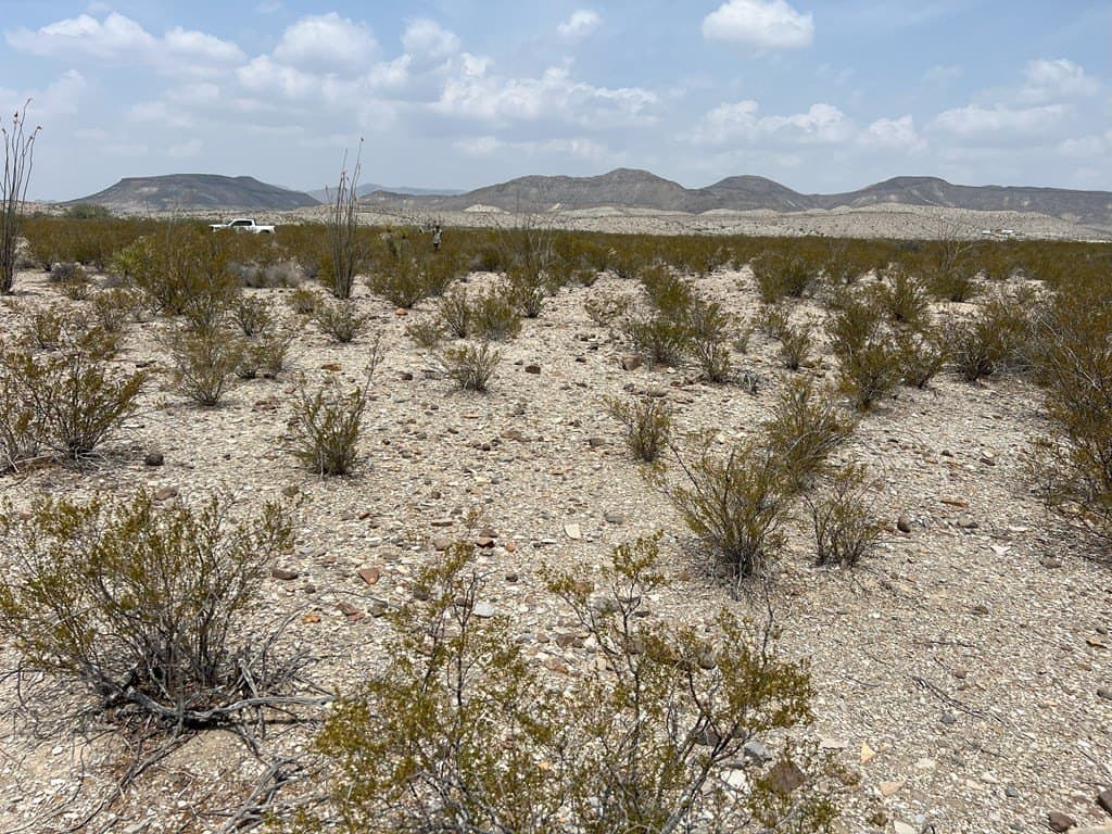 10 acres in Brewster County gallery image 3