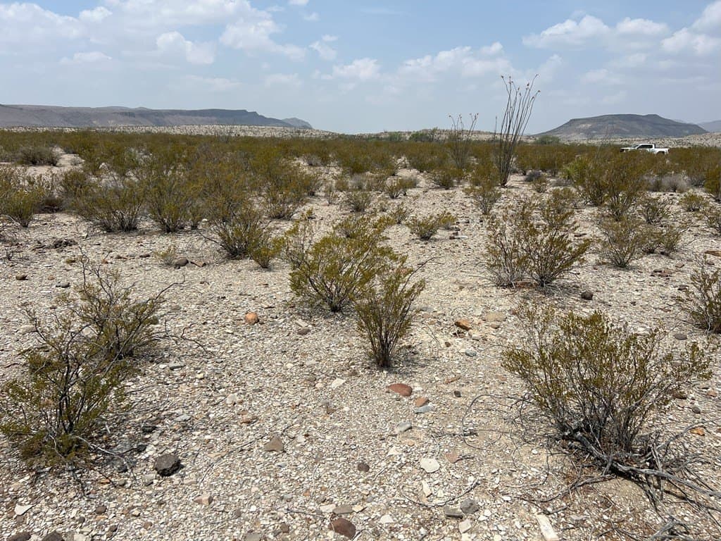10 acres in Brewster County gallery image 4