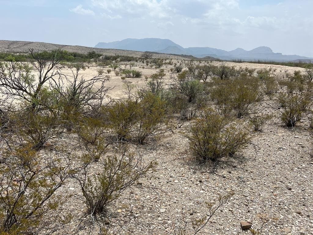 10 acres in Brewster County