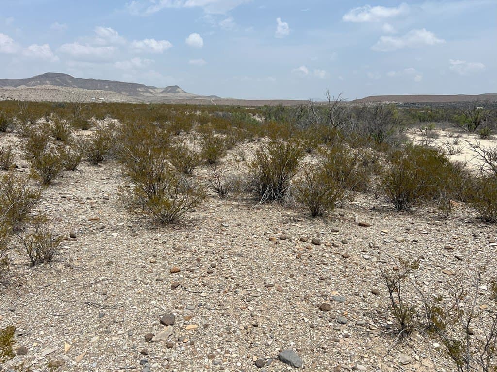 10 acres in Brewster County gallery image 2