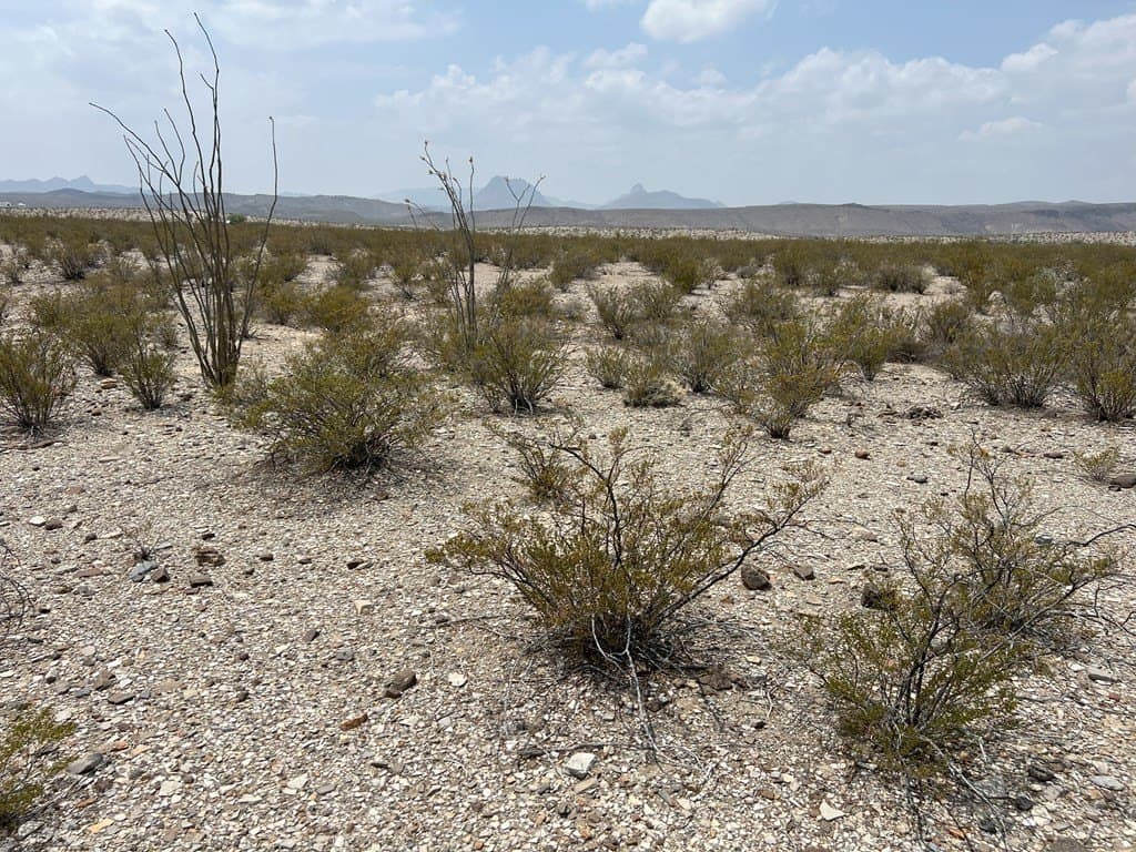 10 acres in Brewster County featured view