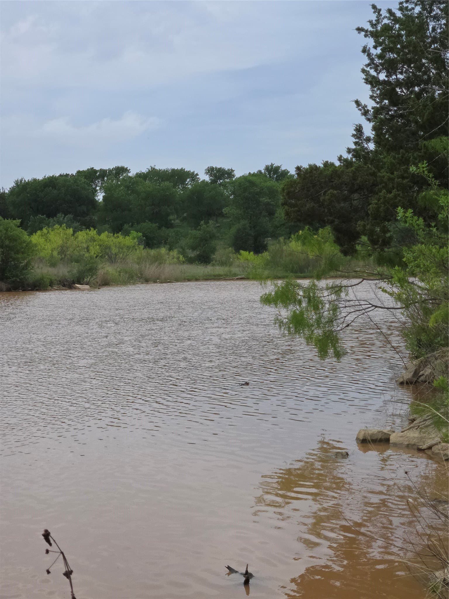 1.01 acres in Palo Pinto County - photo 13