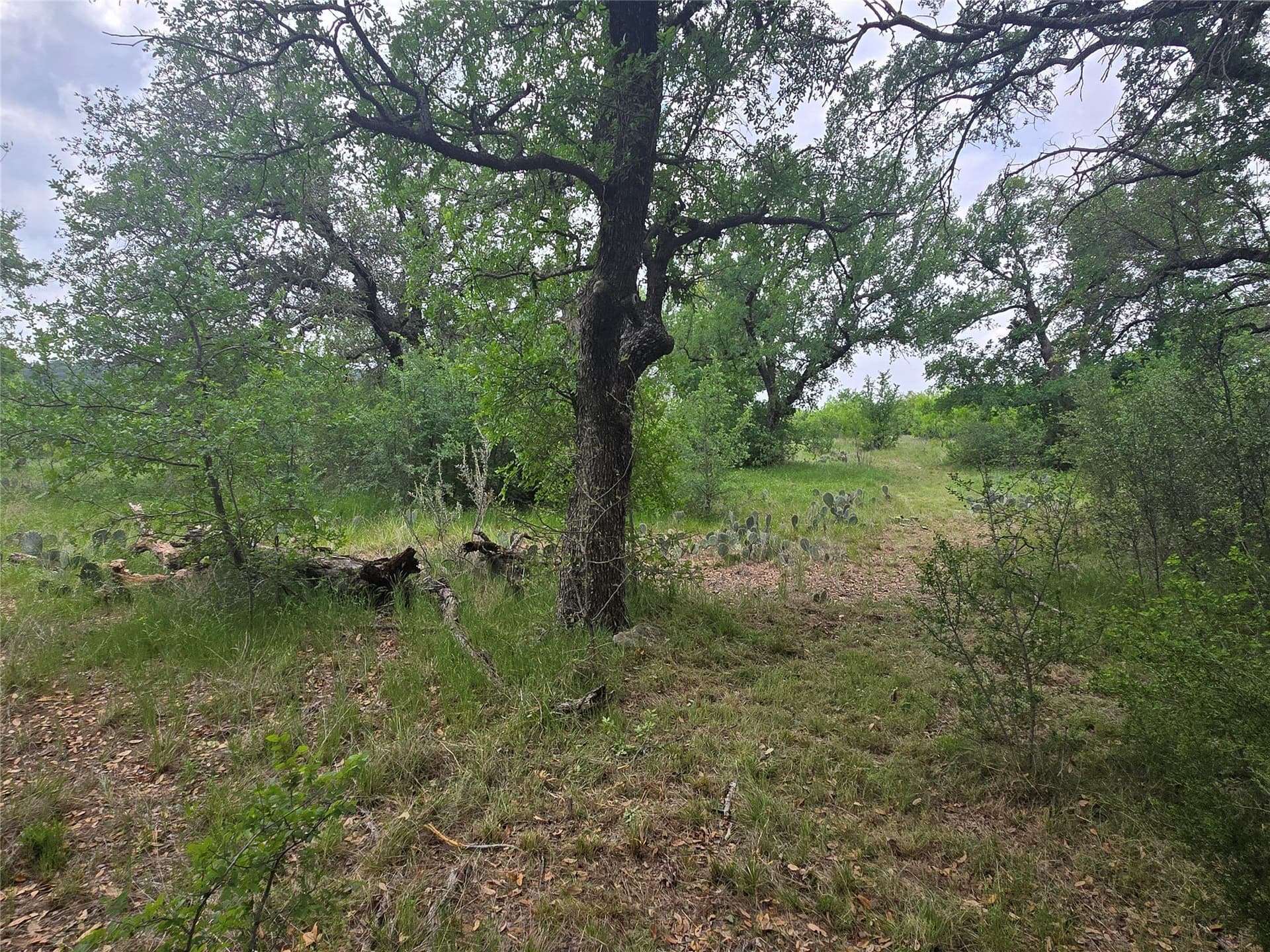 1.01 acres in Palo Pinto County - photo 6
