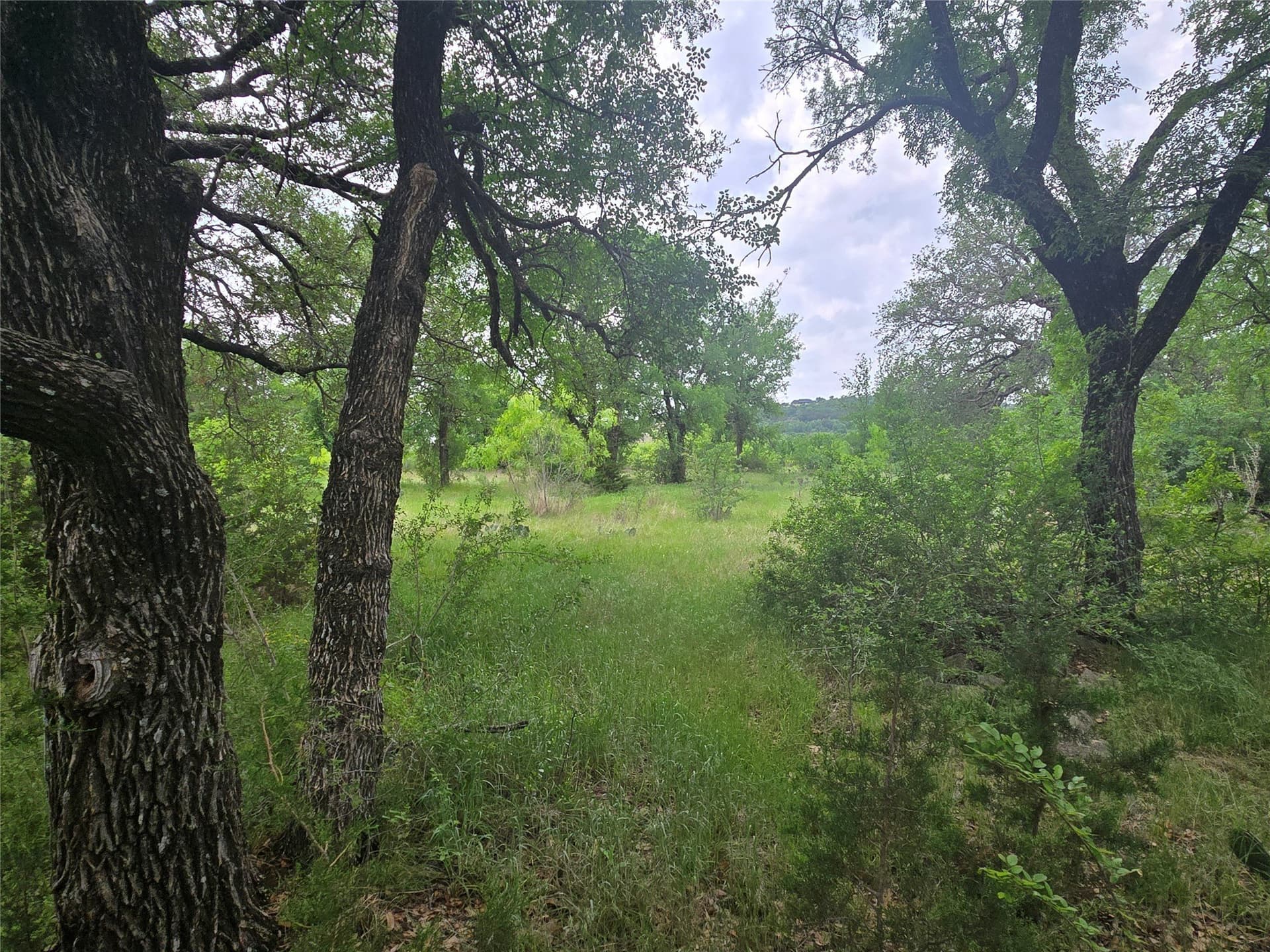 1.01 acres in Palo Pinto County - photo 7