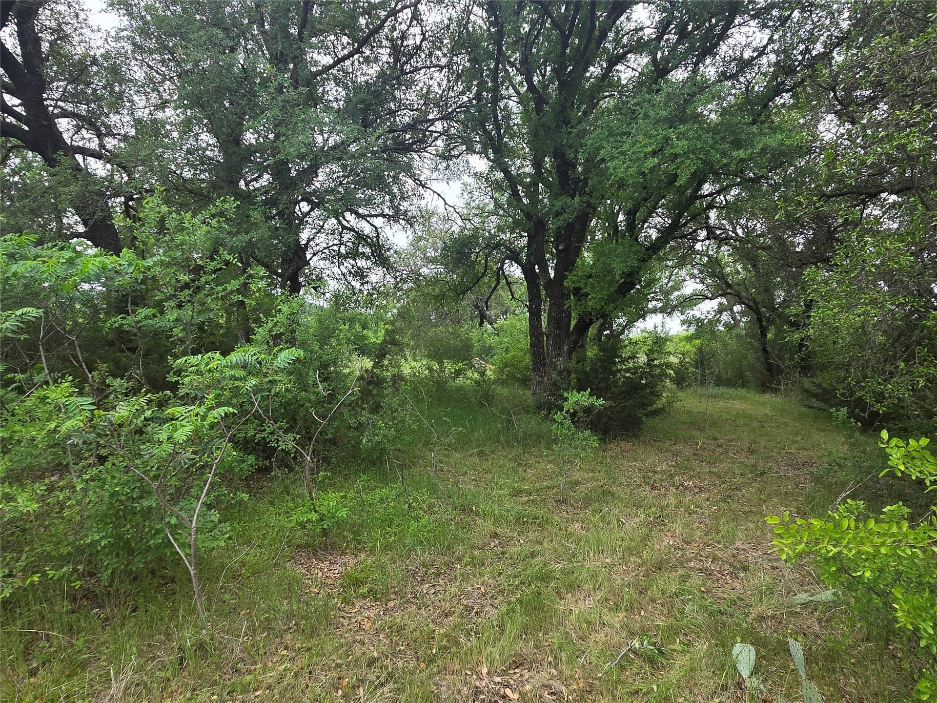 1.01 acres in Palo Pinto County - photo 8