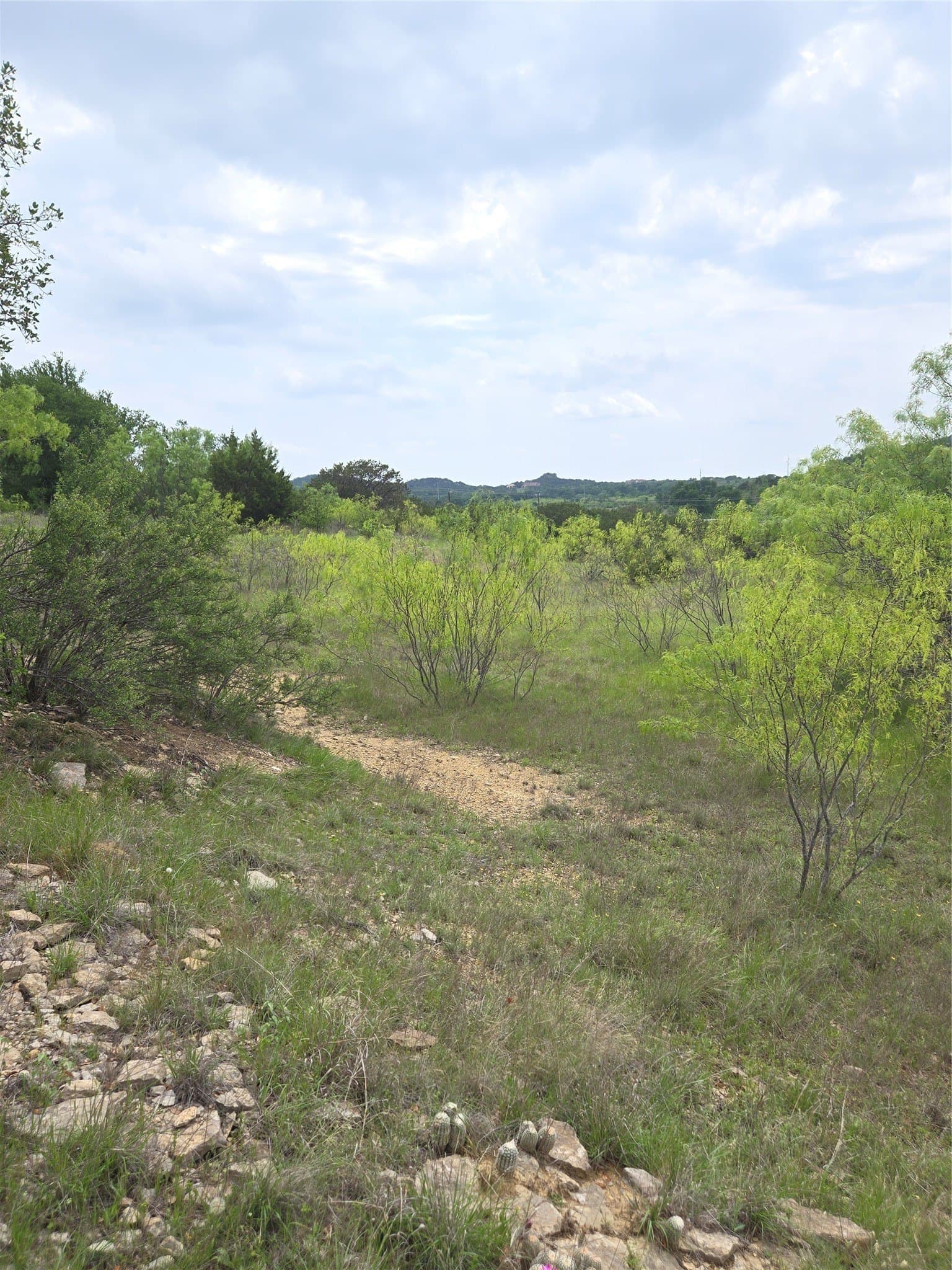 1.01 acres in Palo Pinto County - photo 11