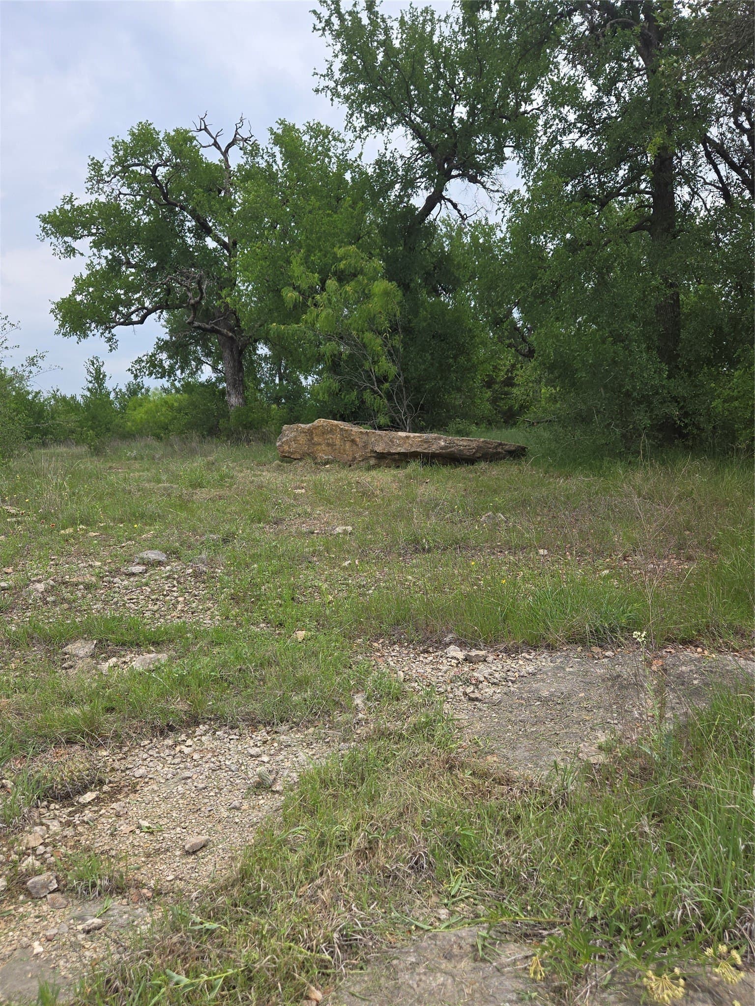 1.01 acres in Palo Pinto County - photo 10