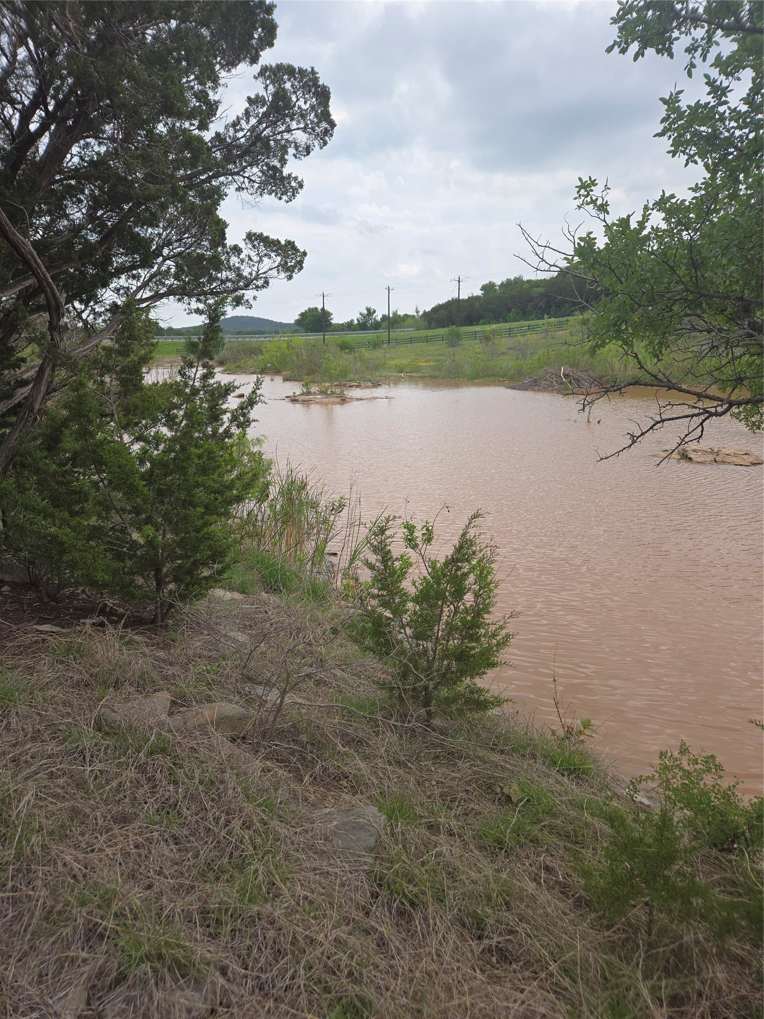 1.01 acres in Palo Pinto County - photo 9