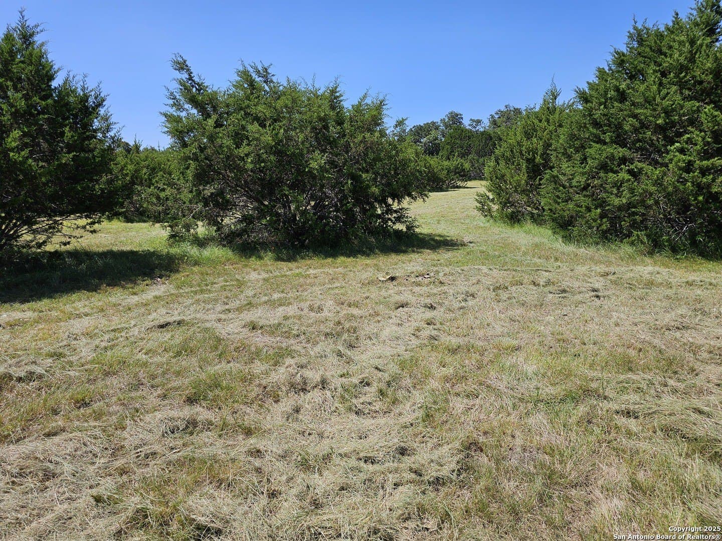 4.28 acres in Blanco County - photo 14