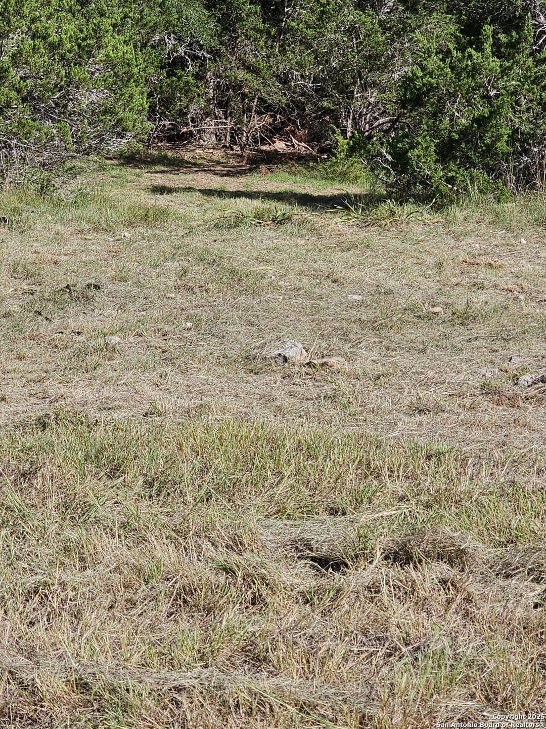 4.28 acres in Blanco County - photo 25