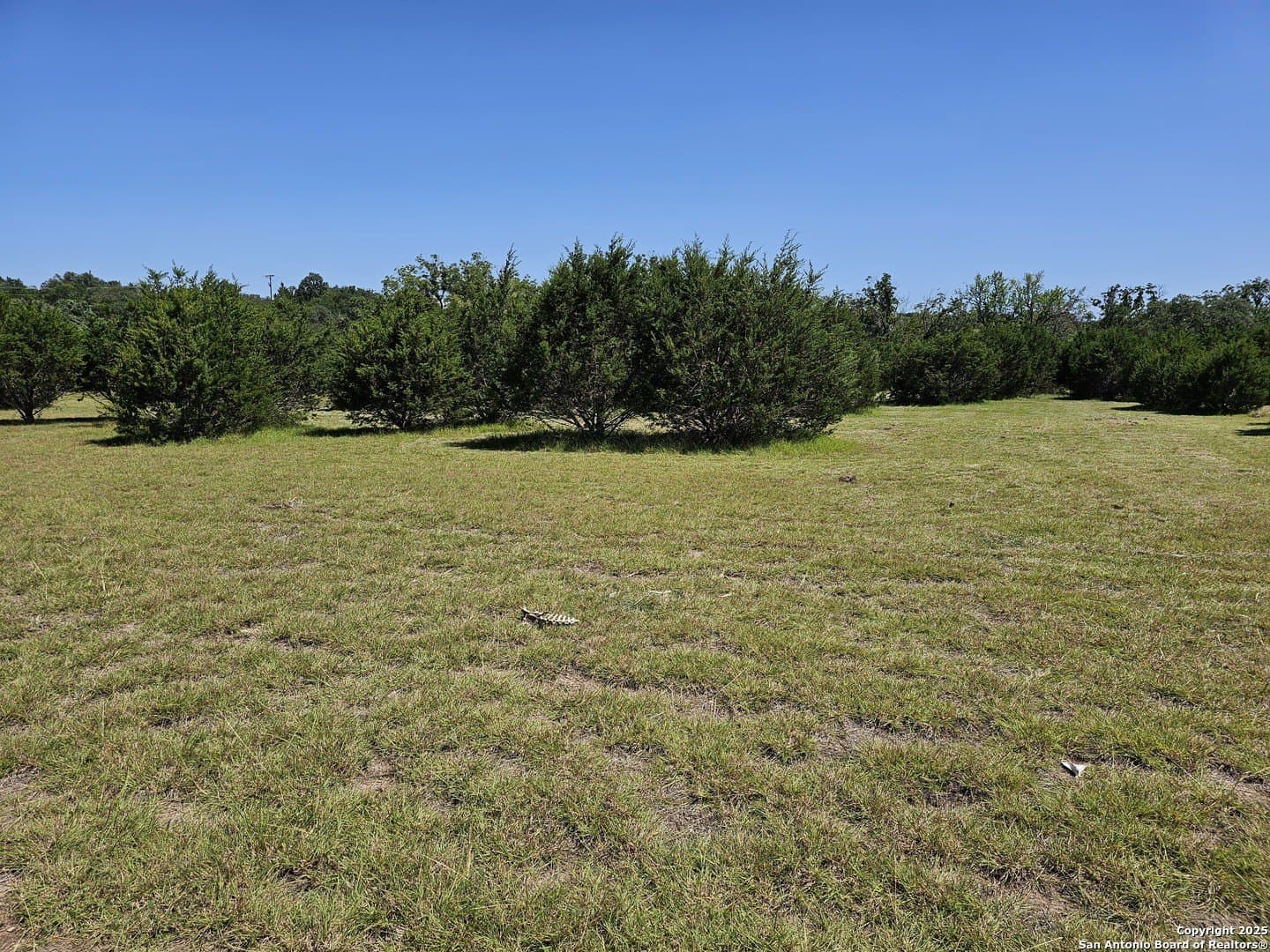 4.28 acres in Blanco County gallery image 2