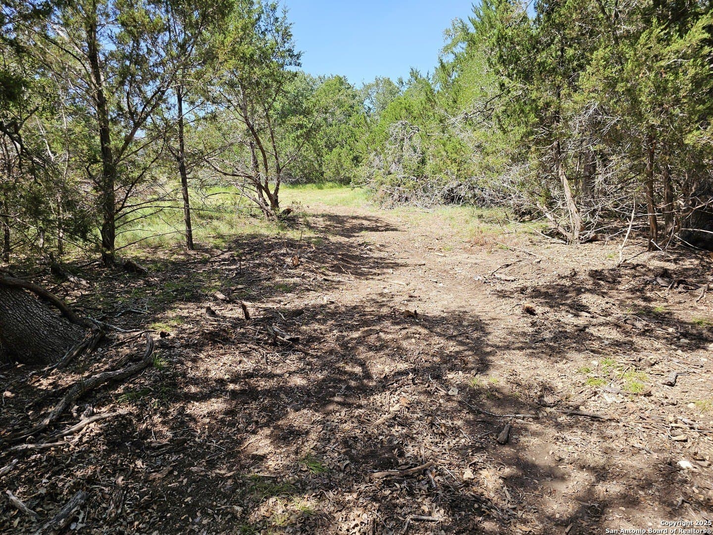 4.28 acres in Blanco County gallery image 4