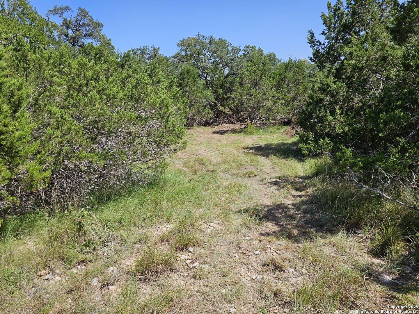 4.28 acres in Blanco County - photo 23