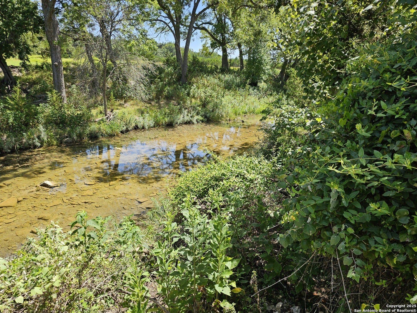 4.28 acres in Blanco County - photo 10