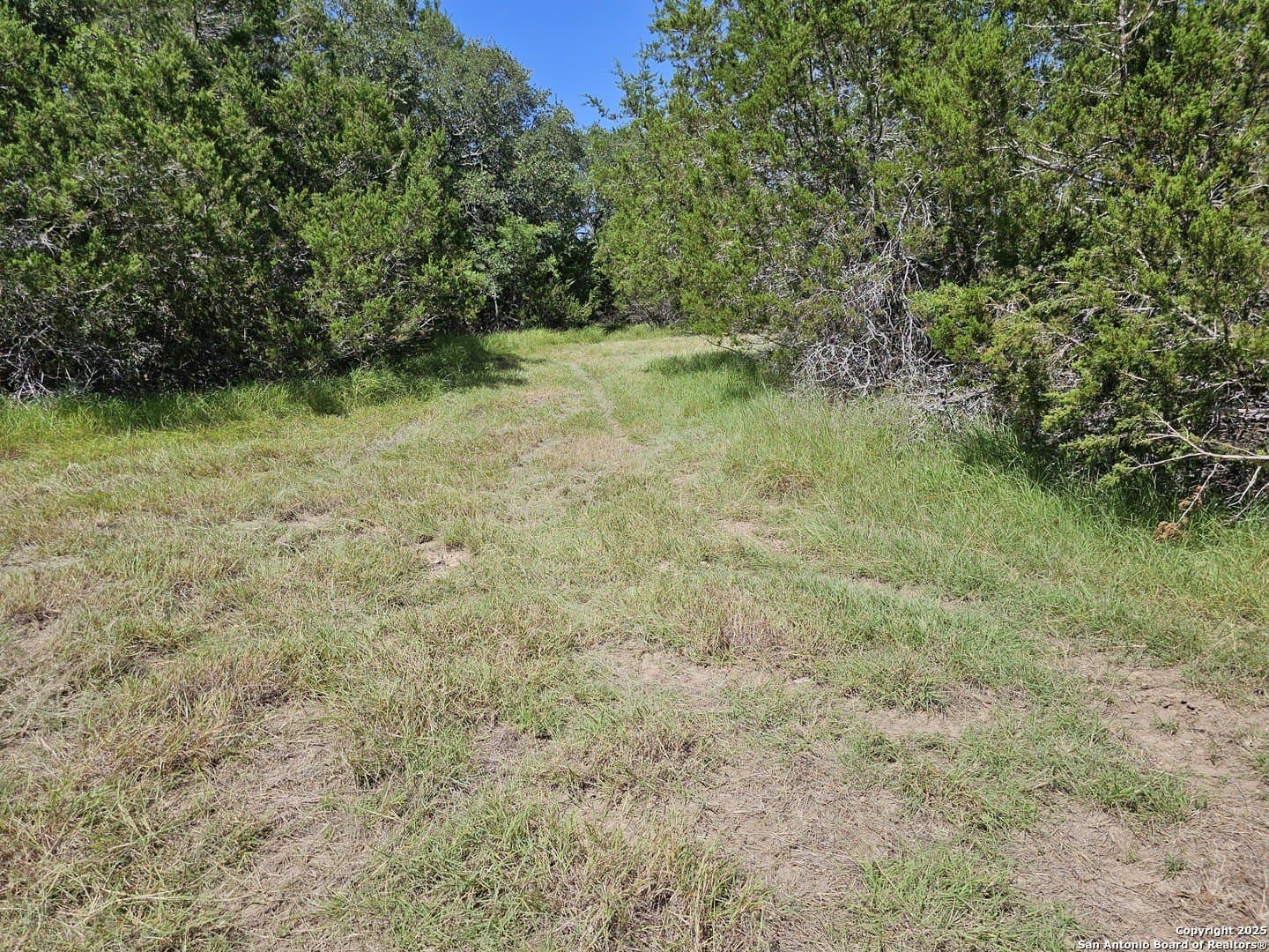 4.28 acres in Blanco County - photo 22