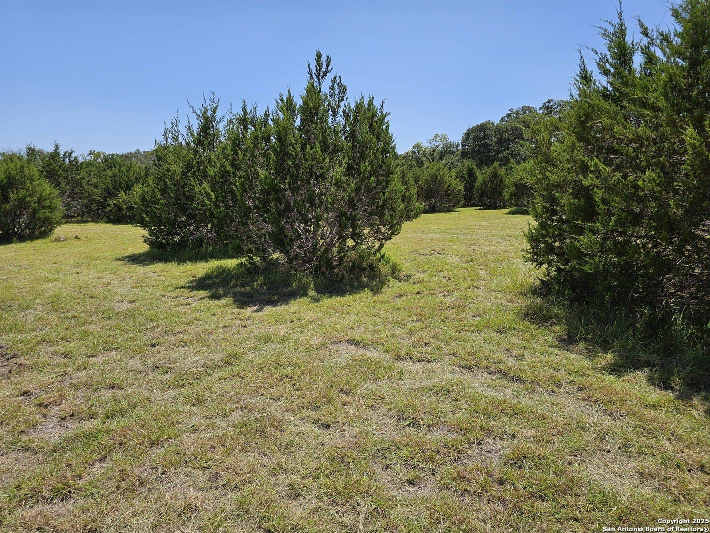 4.28 acres in Blanco County - photo 8
