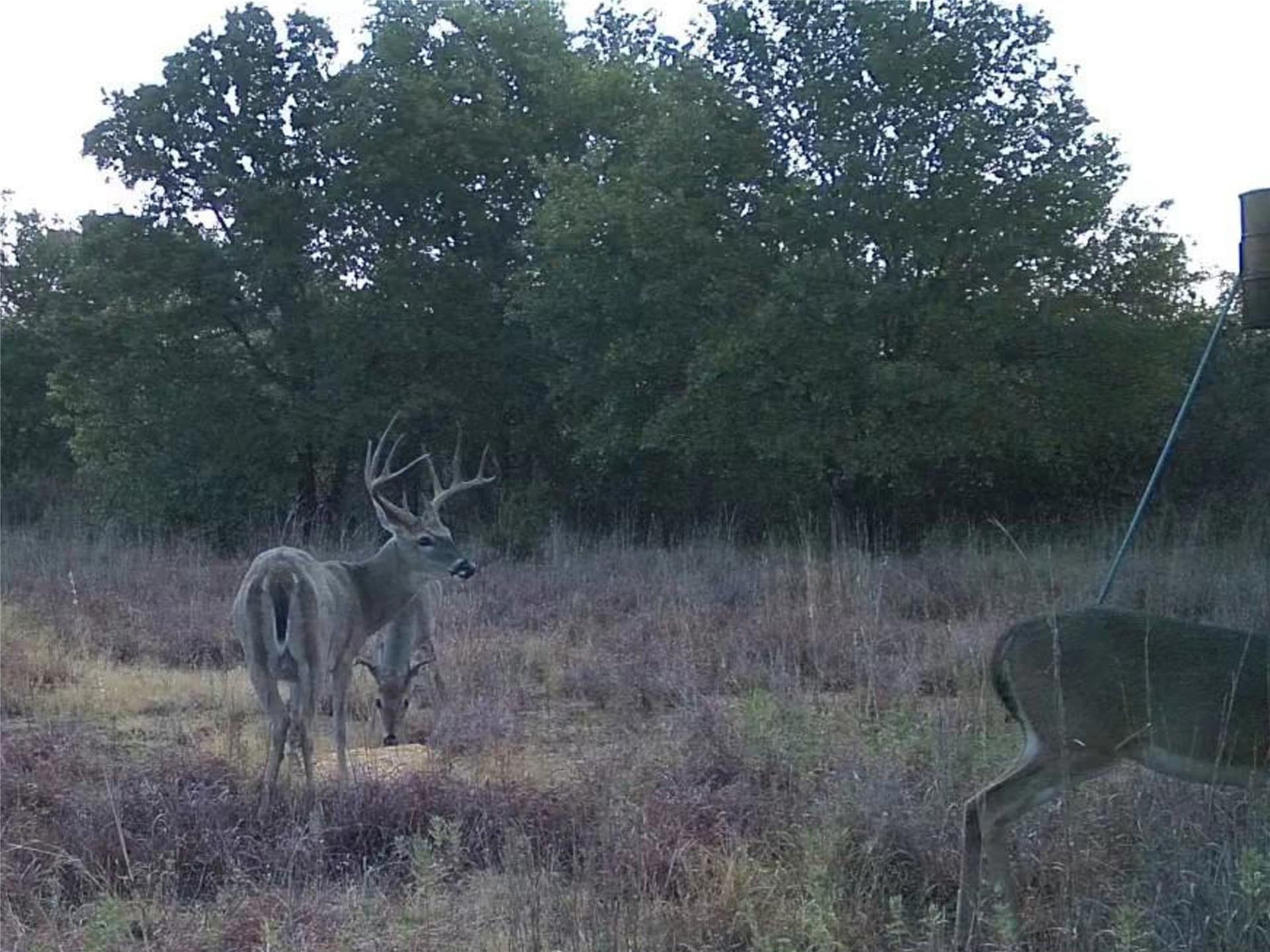 79.73 acres in Young County - photo 37