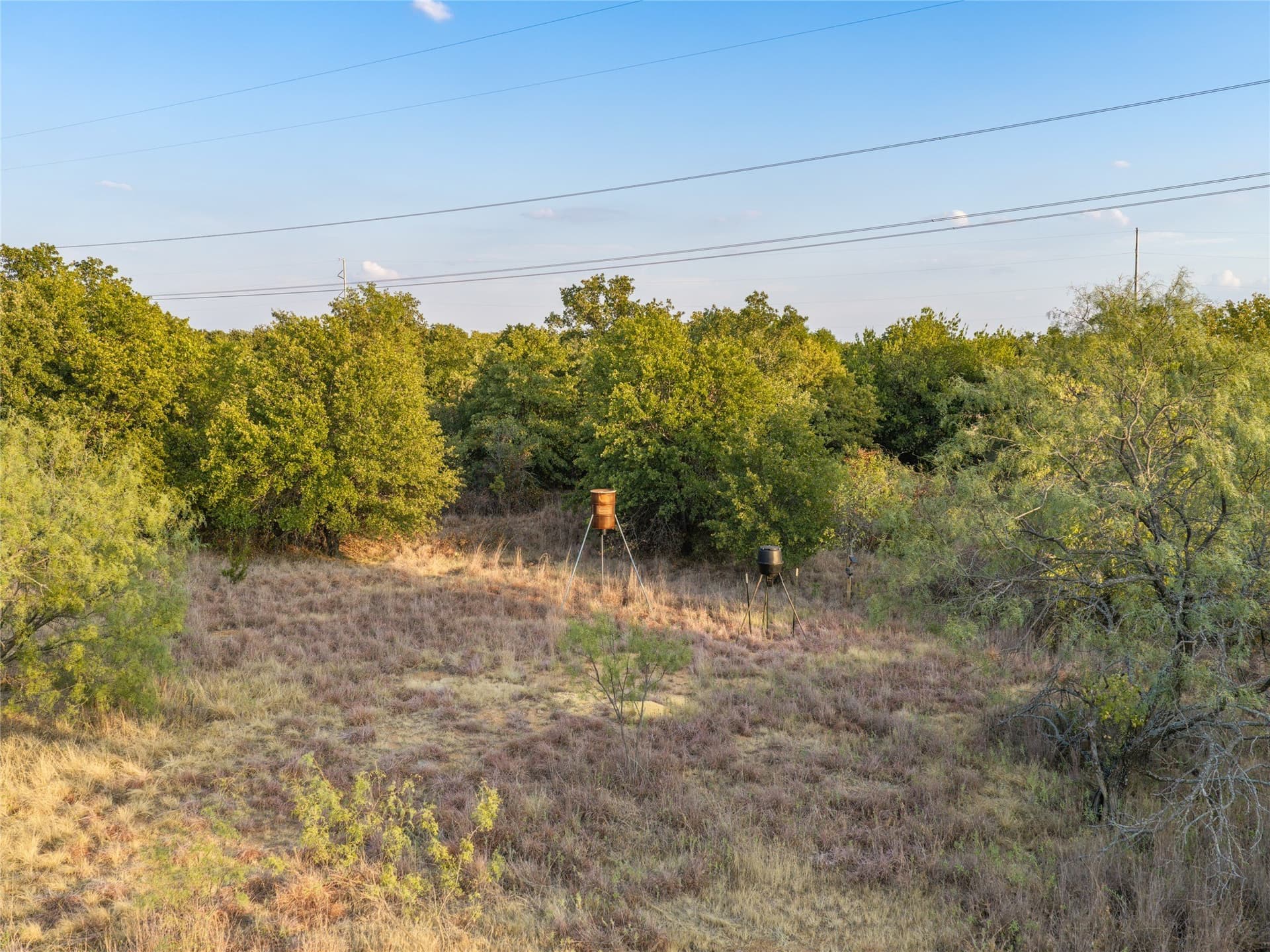 79.73 acres in Young County - photo 29