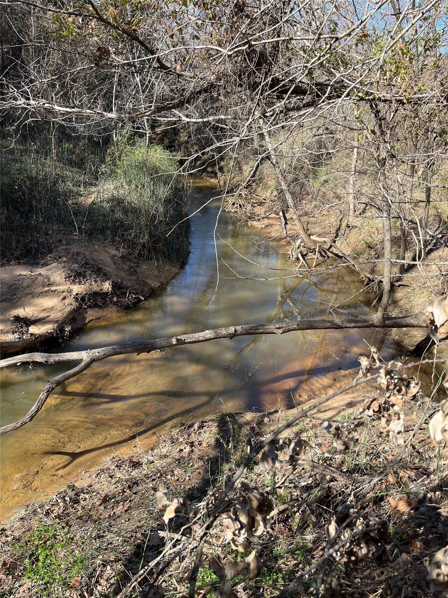 3 acres in Grayson County - photo 13