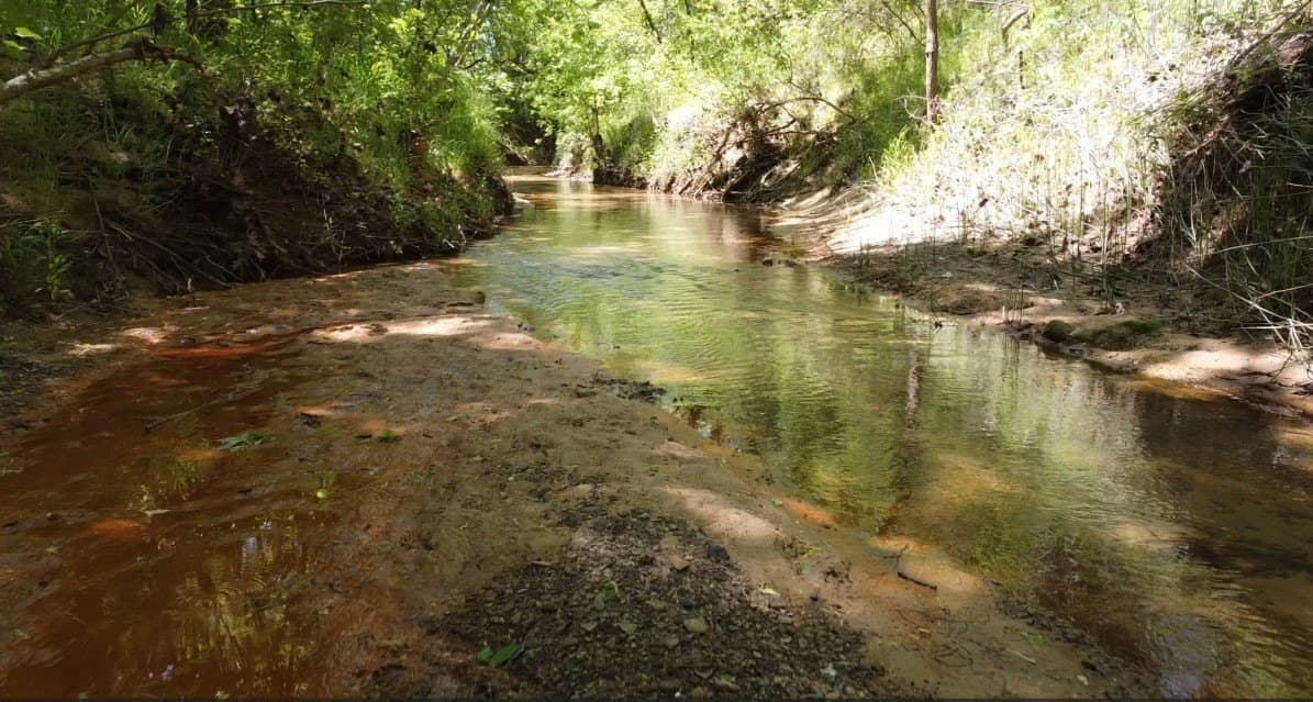 3 acres in Grayson County - photo 7