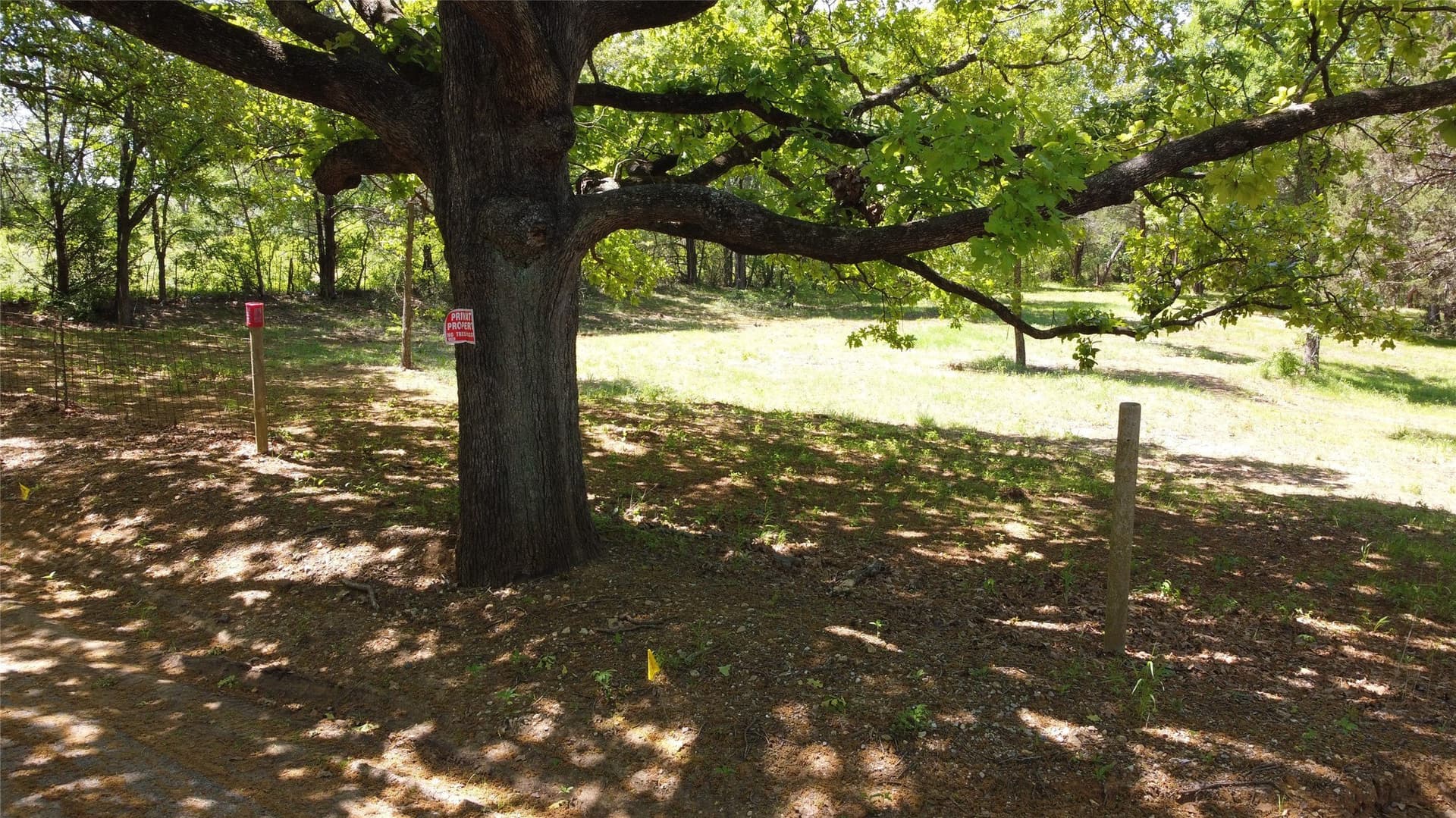 3 acres in Grayson County - photo 9