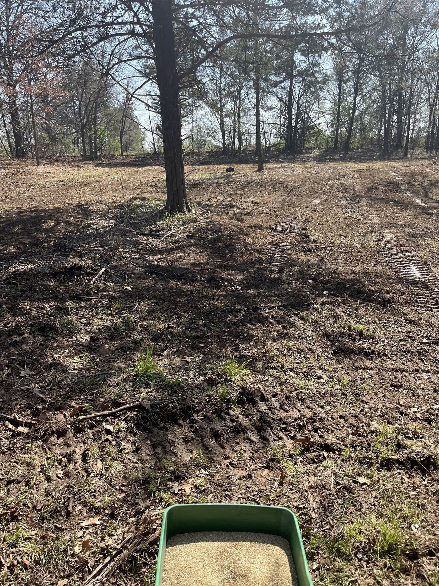 3 acres in Grayson County - photo 16