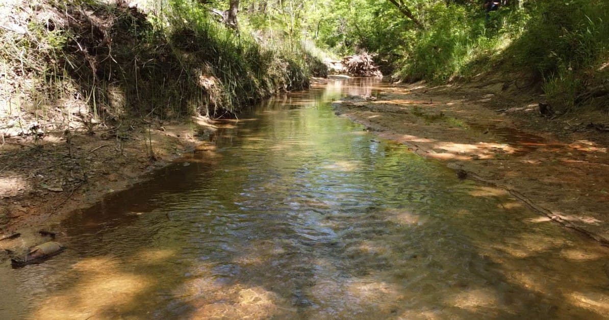 3 acres in Grayson County - photo 12