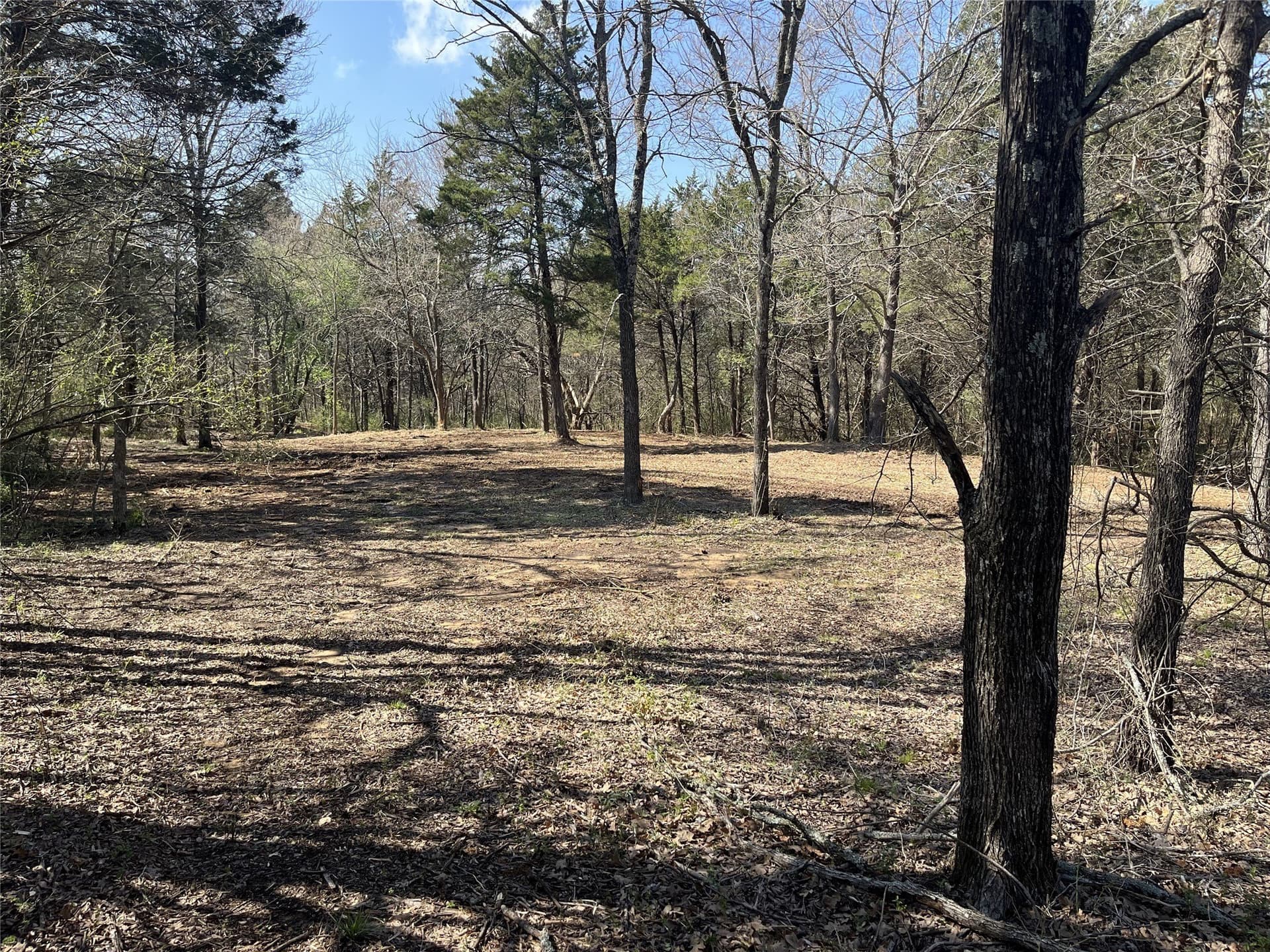 3 acres in Grayson County - photo 17