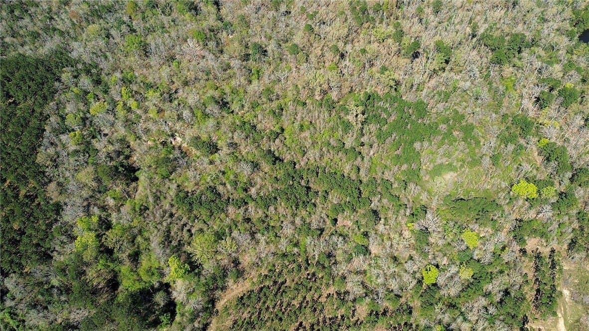 14 acres in Newton County - photo 3