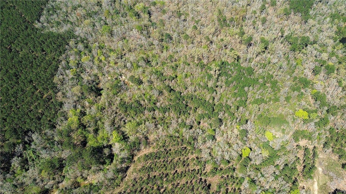 14 acres in Newton County - photo 2