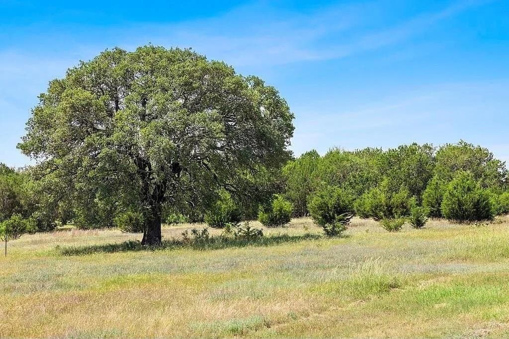 13.54 acres in Burnet County - photo 10
