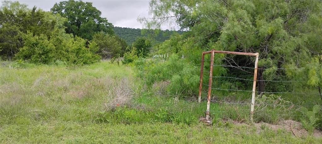 10 acres in Palo Pinto County gallery image 4