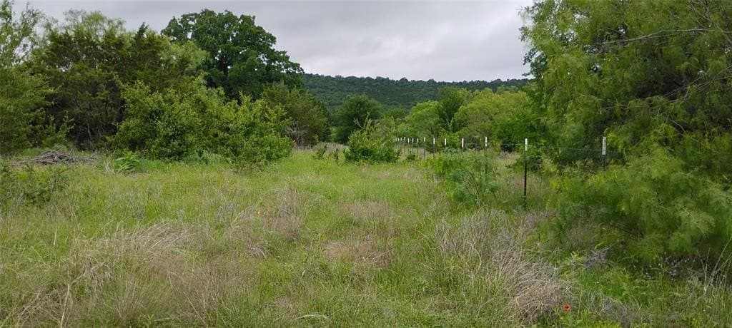 10 acres in Palo Pinto County gallery image 3