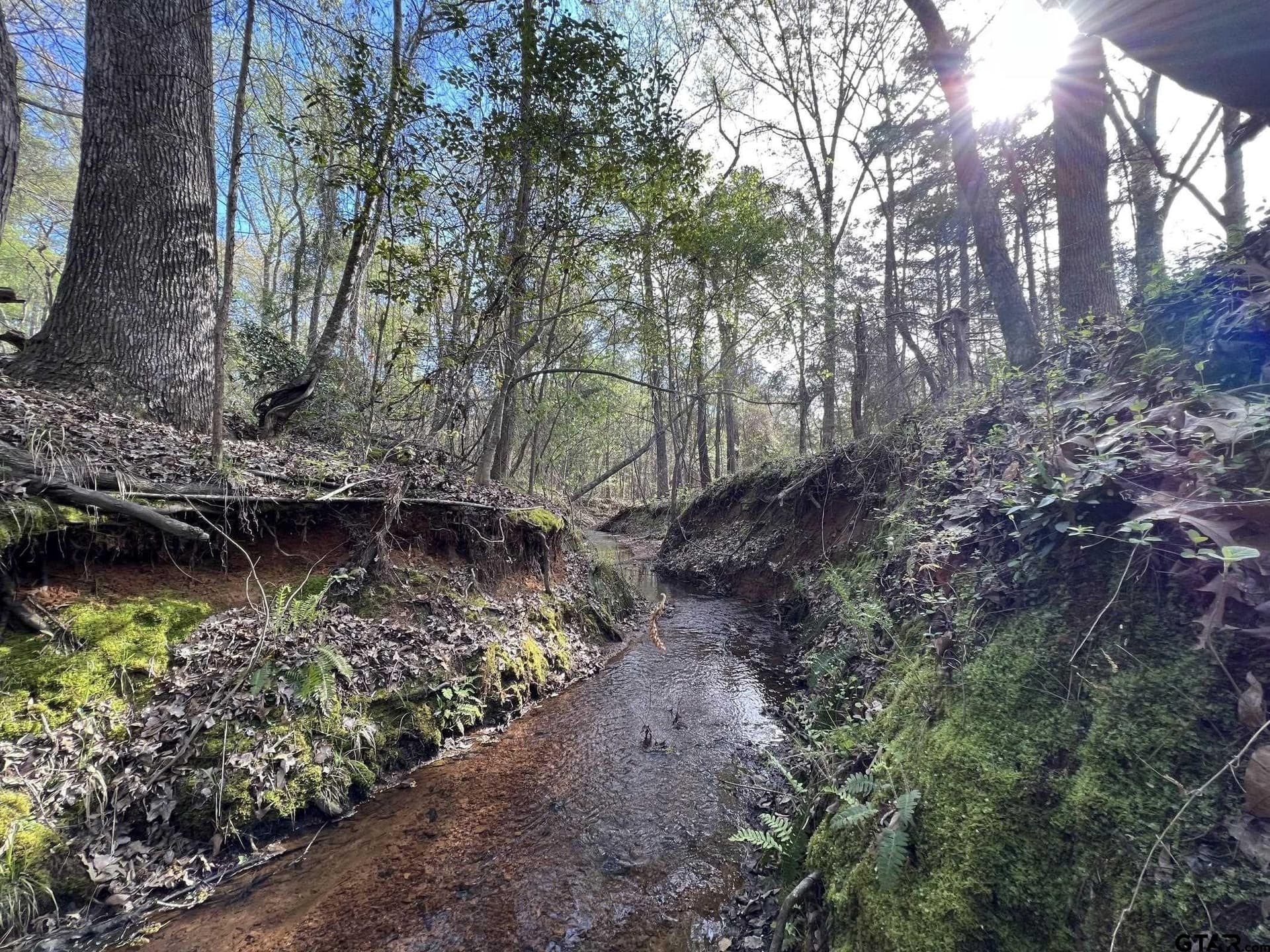 74.45 acres in Smith County gallery image 4