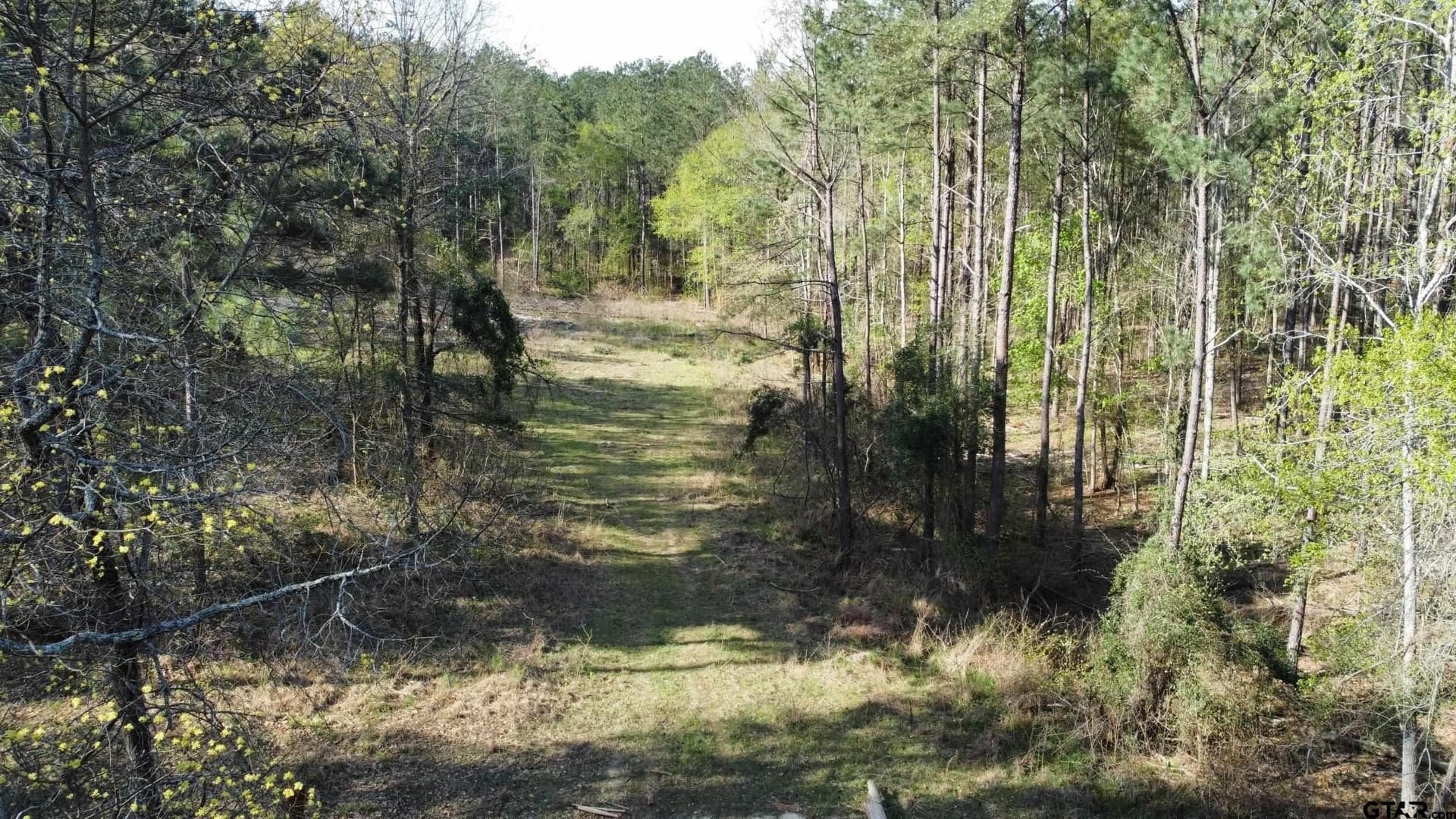 74.45 acres in Smith County