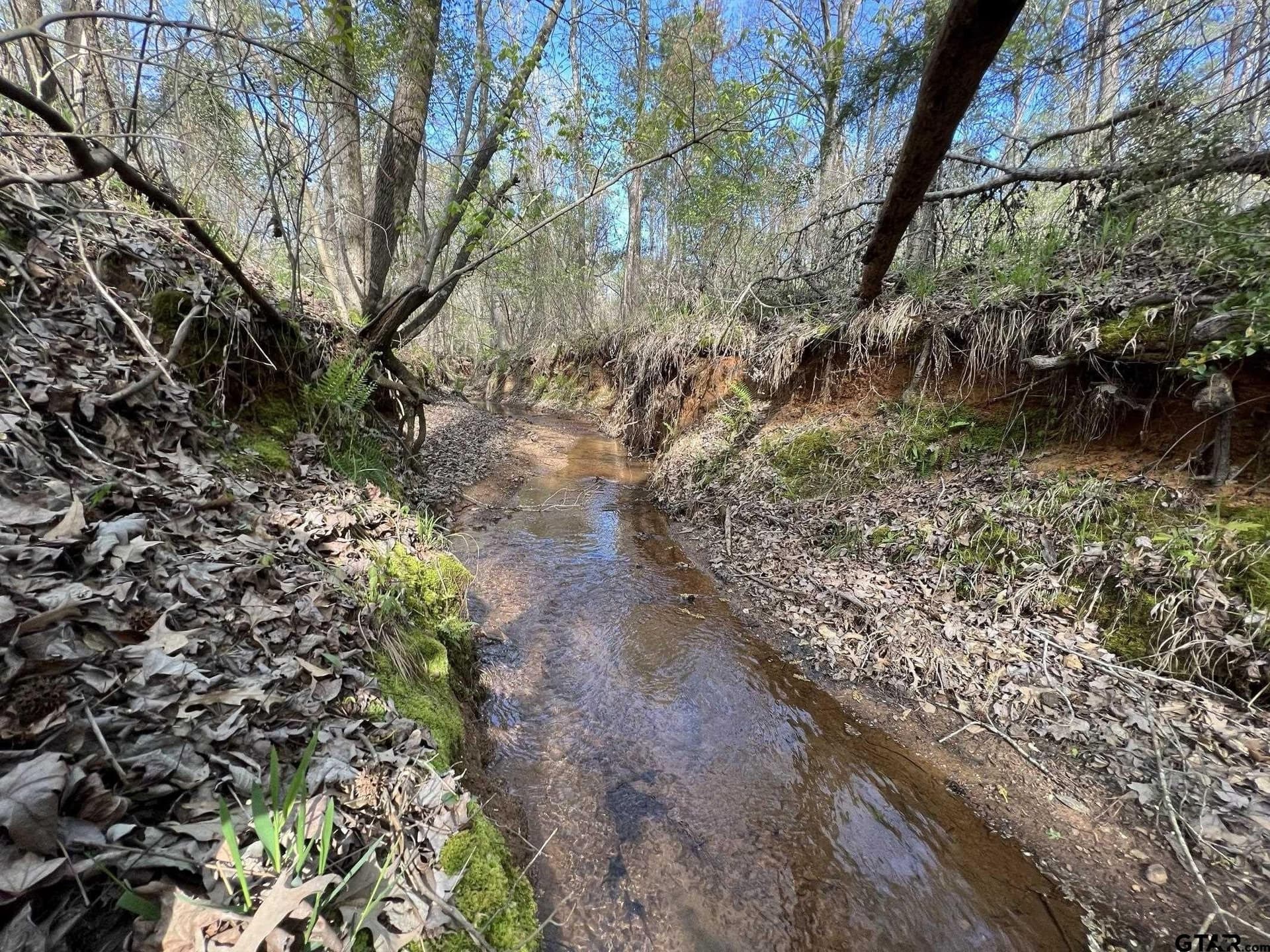 74.45 acres in Smith County featured view