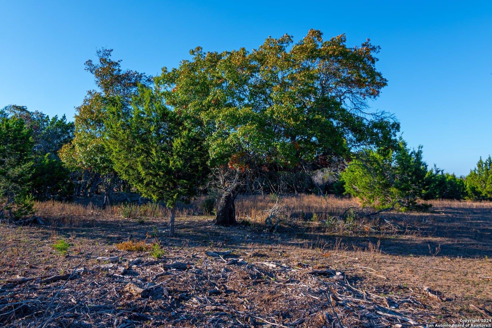 93.7 acres in Blanco County - photo 8
