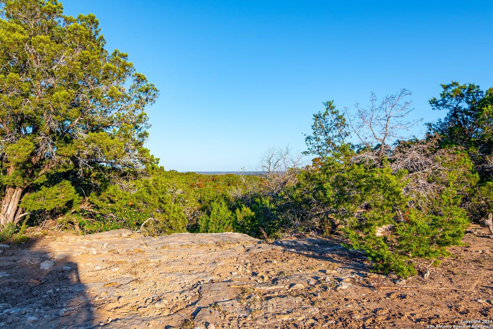 93.7 acres in Blanco County - photo 13