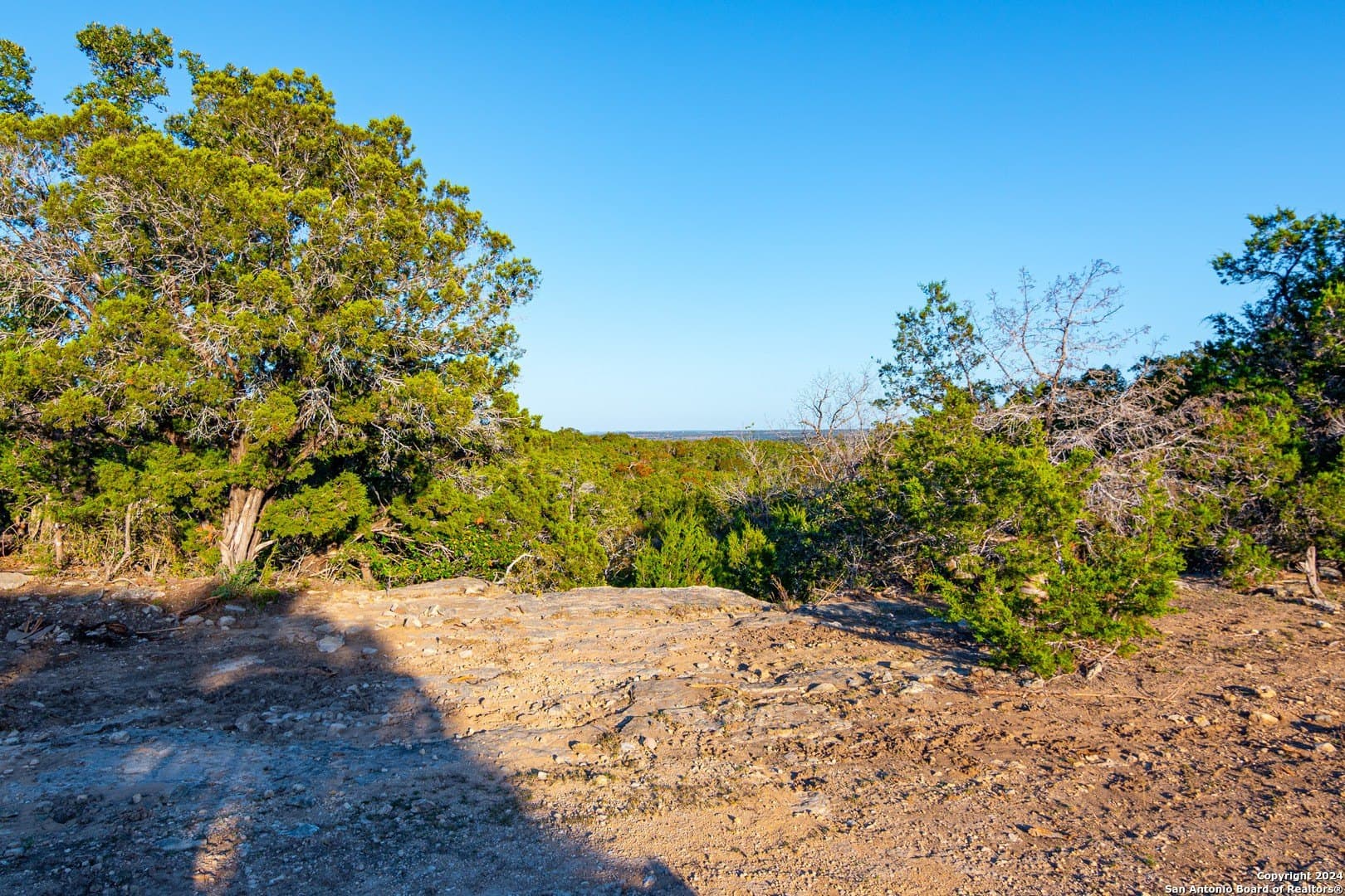 93.7 acres in Blanco County gallery image 4