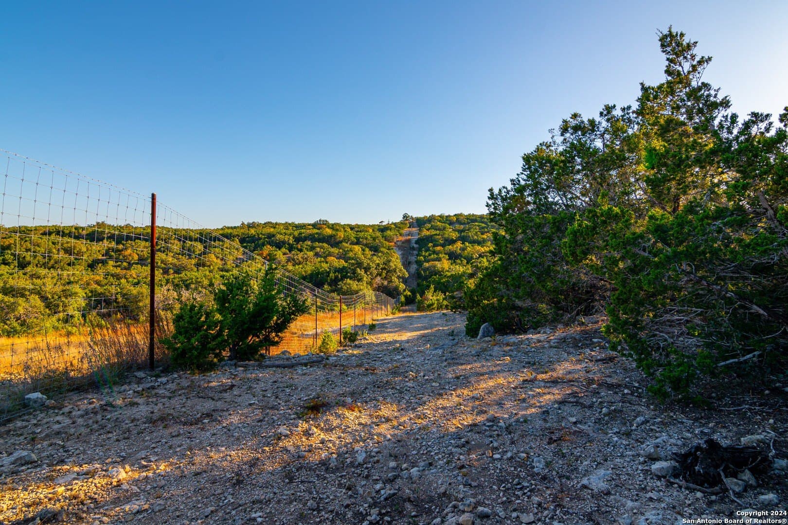 93.7 acres in Blanco County - photo 11