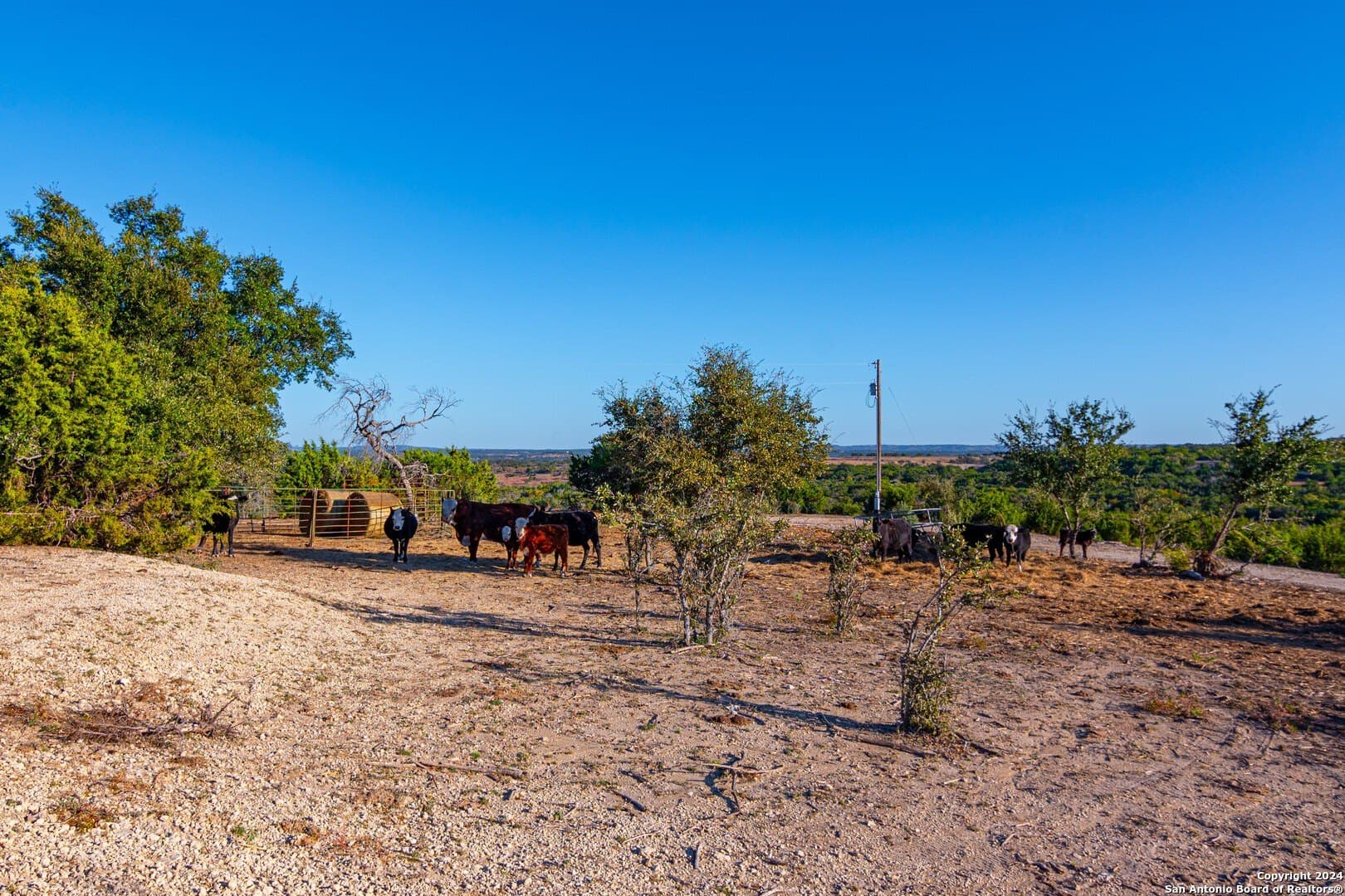 93.7 acres in Blanco County - photo 9
