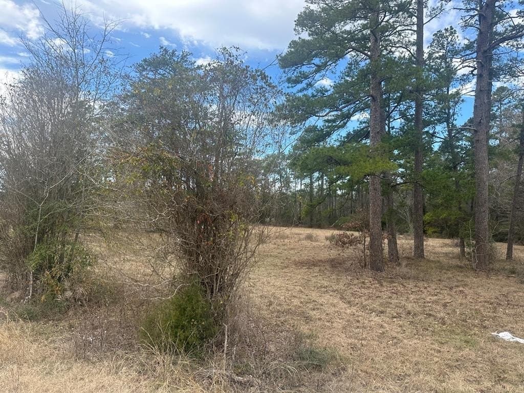 3.73 acres in Texas County - photo 7
